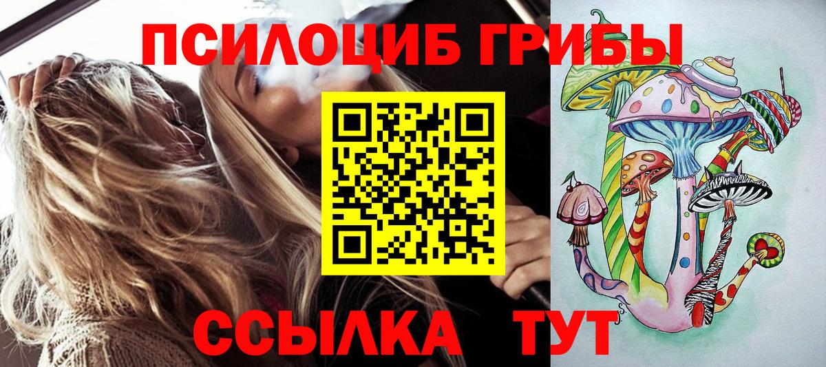 Галлюциногенные грибы Cubensis Нерюнгри