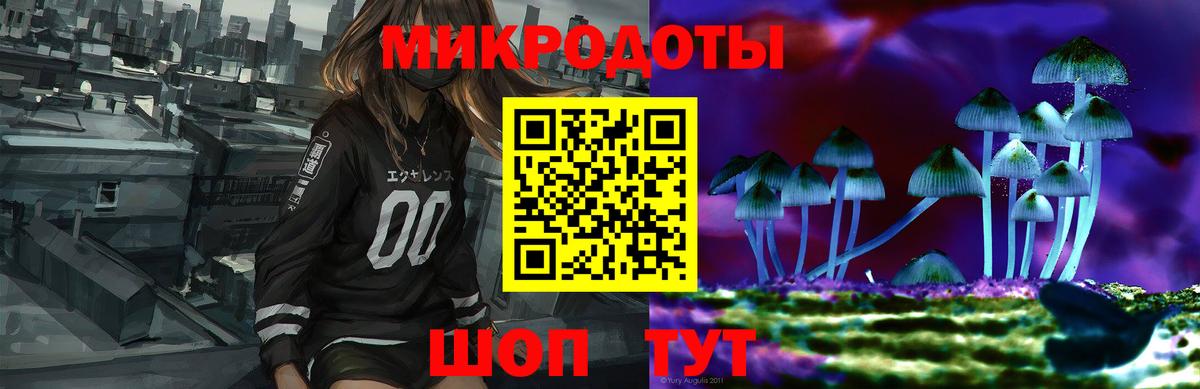 Псилоцибиновые грибы Psilocybine cubensis  цены   Нерюнгри  Вход с VPN 